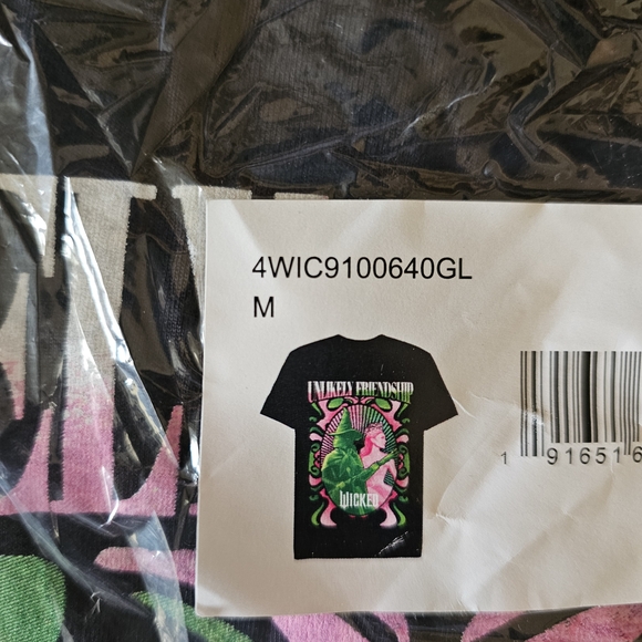 Women's Wicked Unlikely Friendship Graphic Tee - Picture 2 of 2